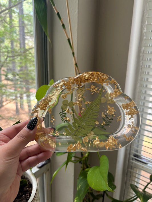 Plant cloud tray