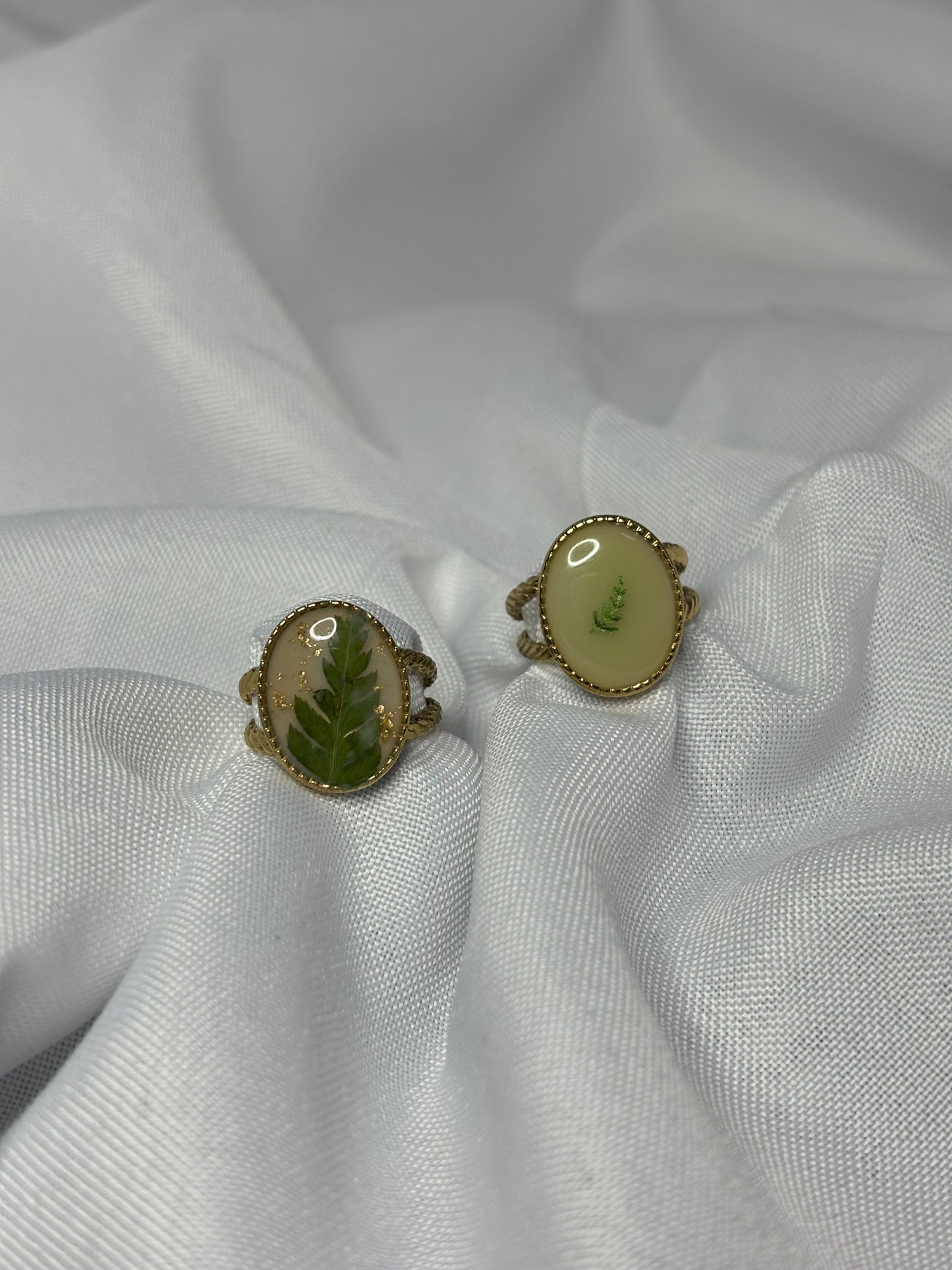 Plant ring