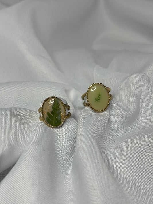 Plant ring