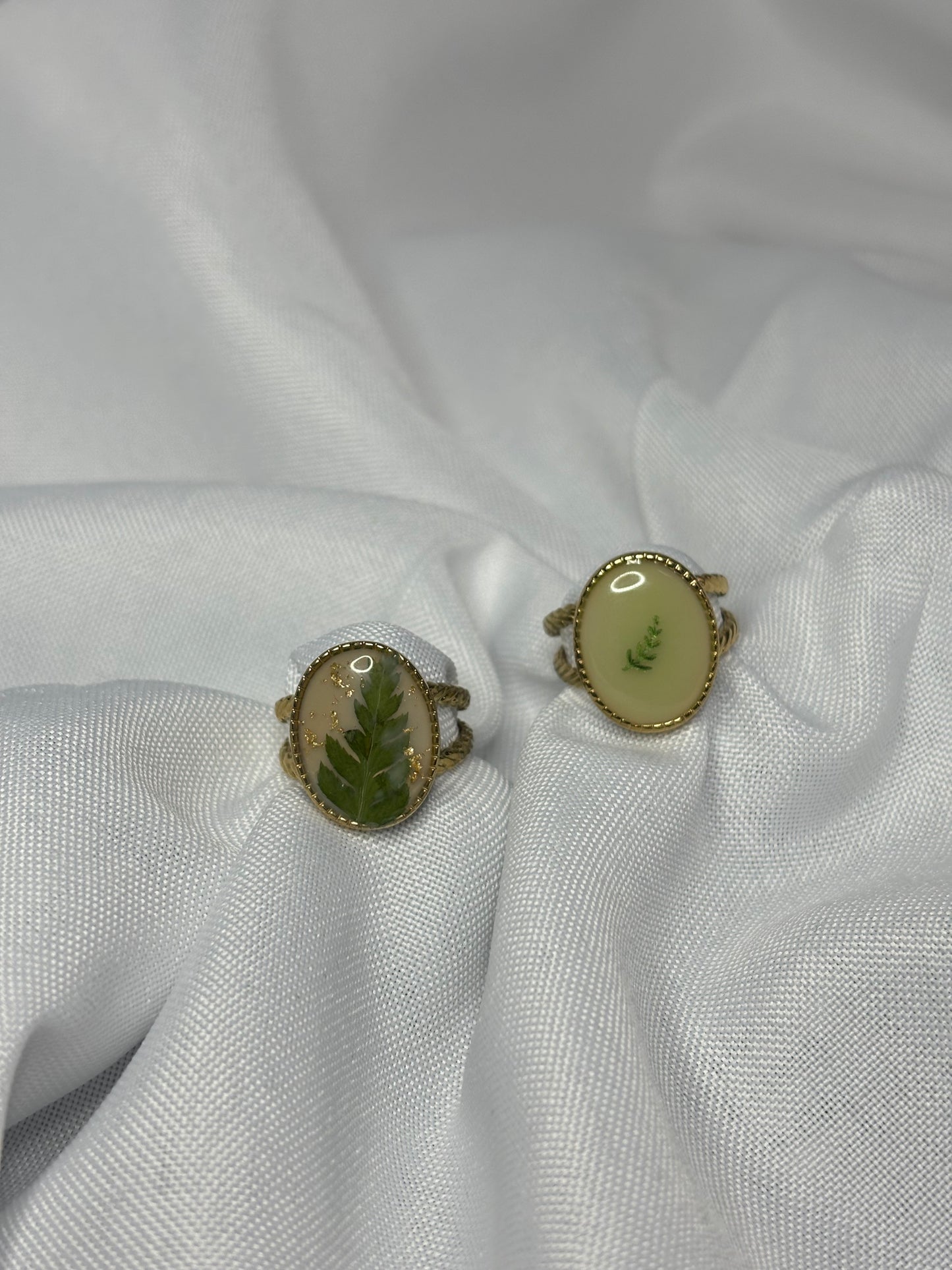 Plant ring