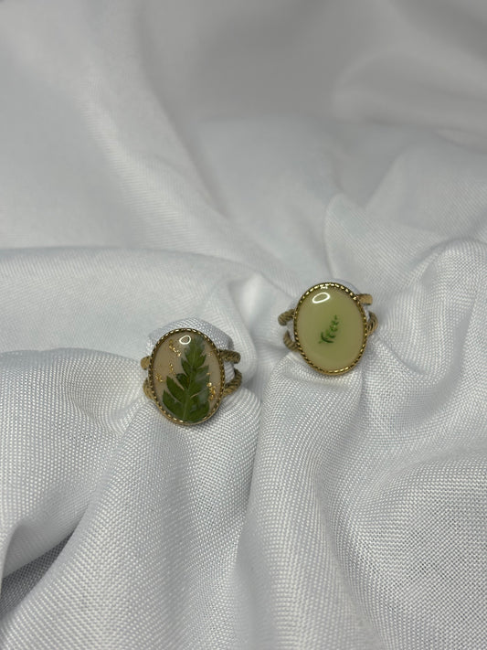 Plant ring