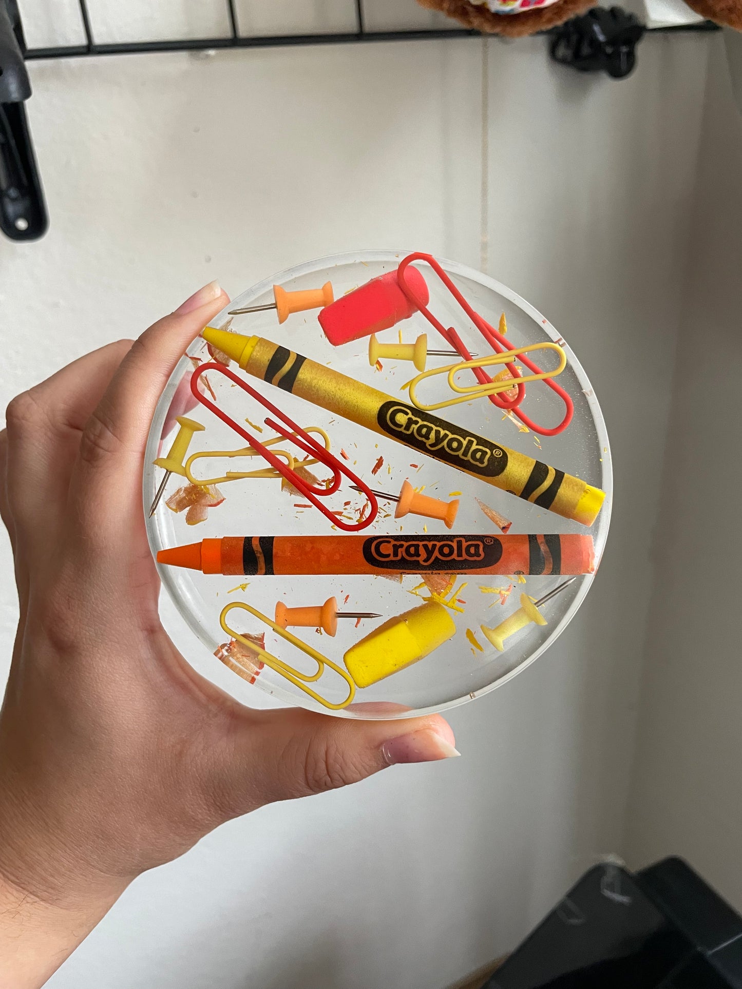 MIXED teacher coaster! (PRE-ORDER)