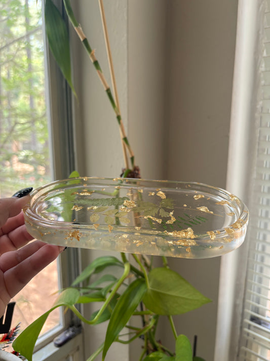 plant tray