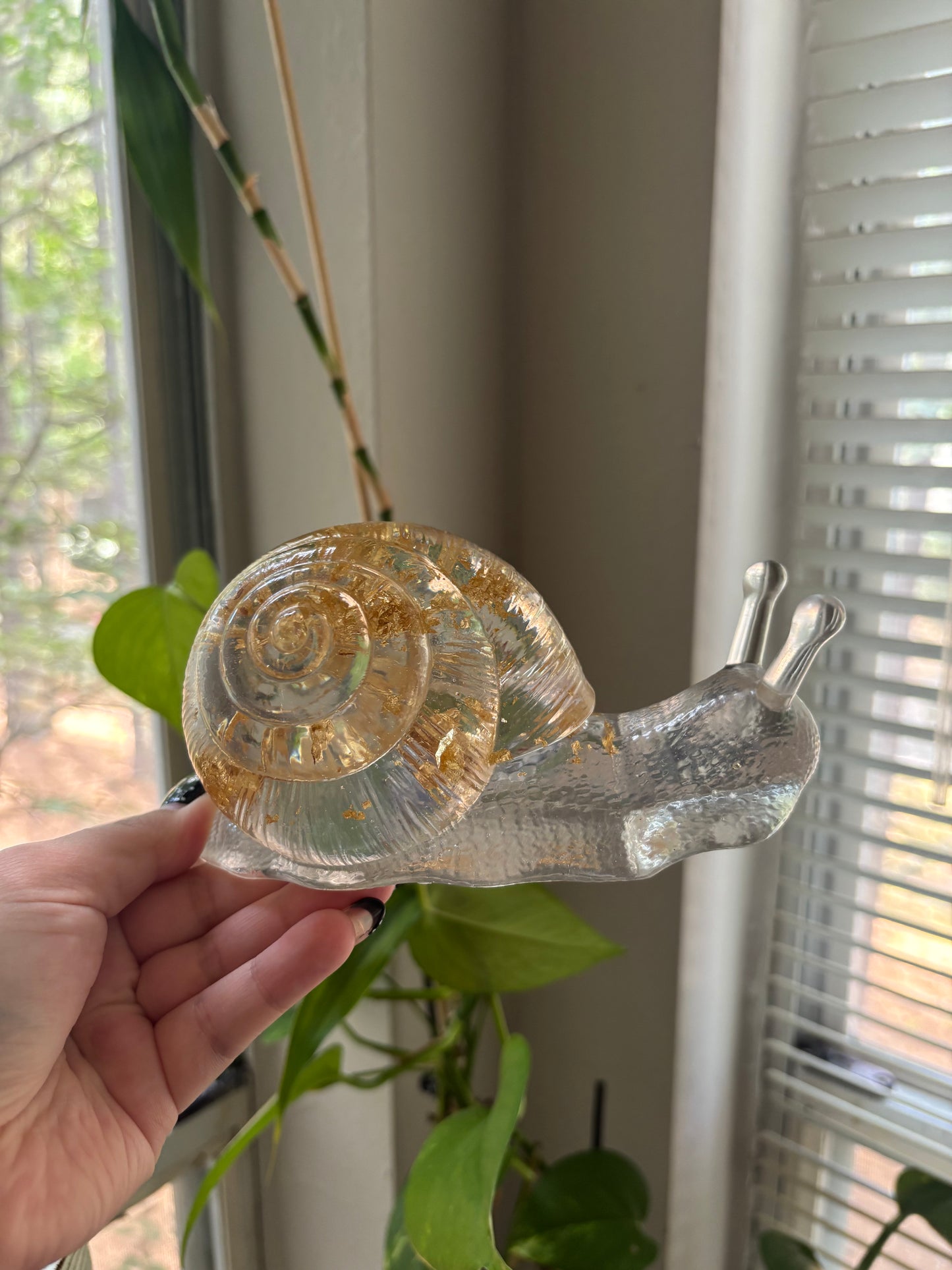Gold flake snail friend!