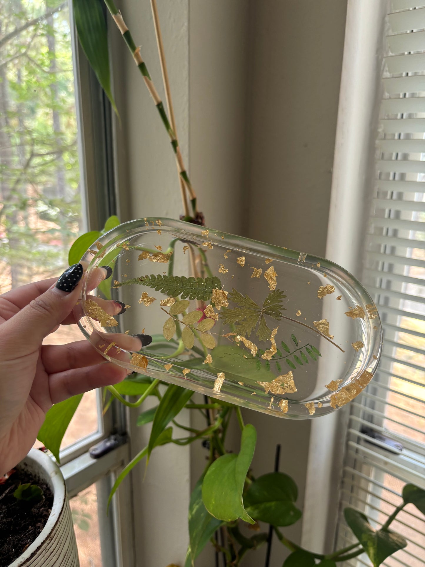 plant tray