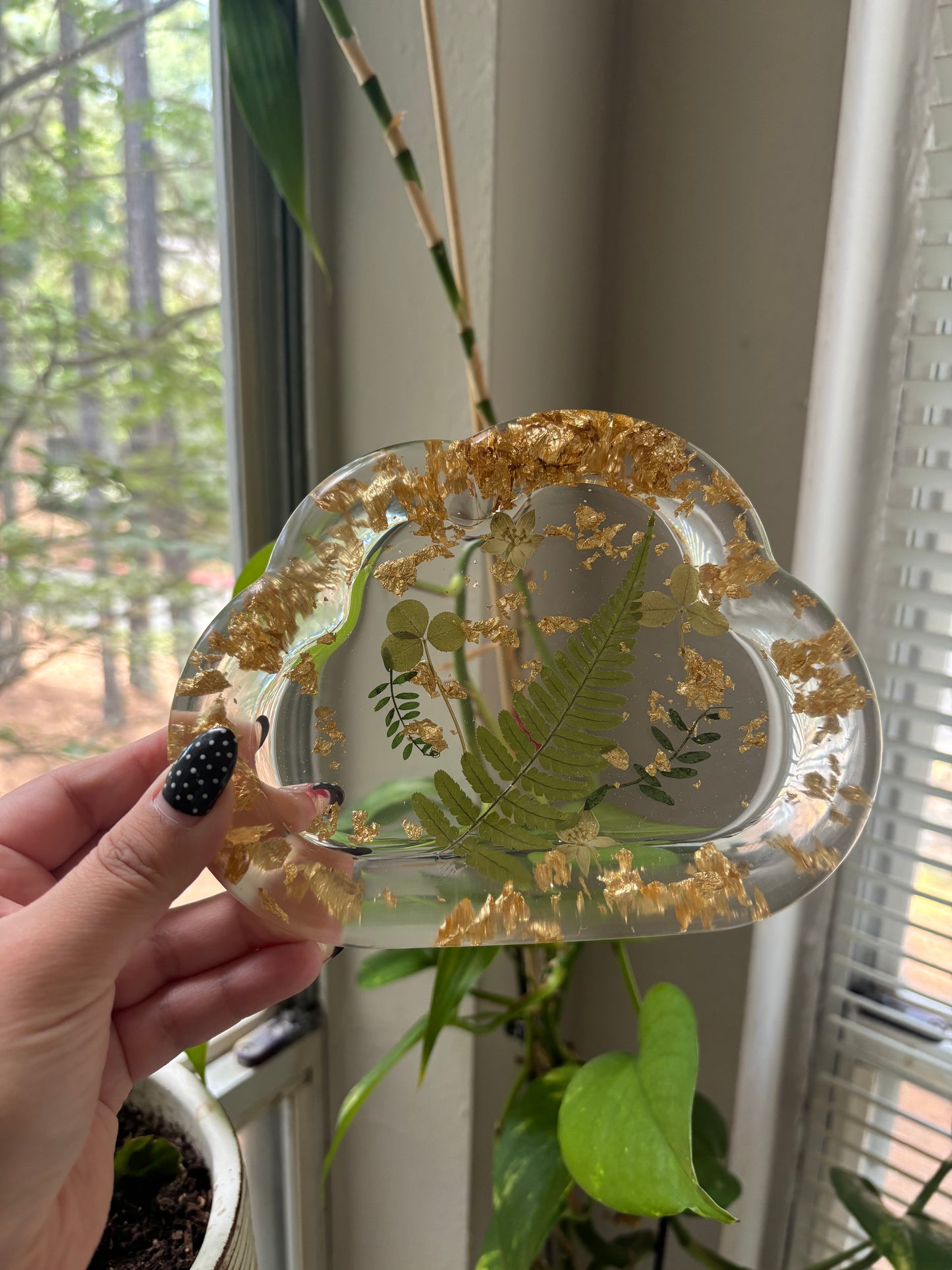 Plant cloud tray