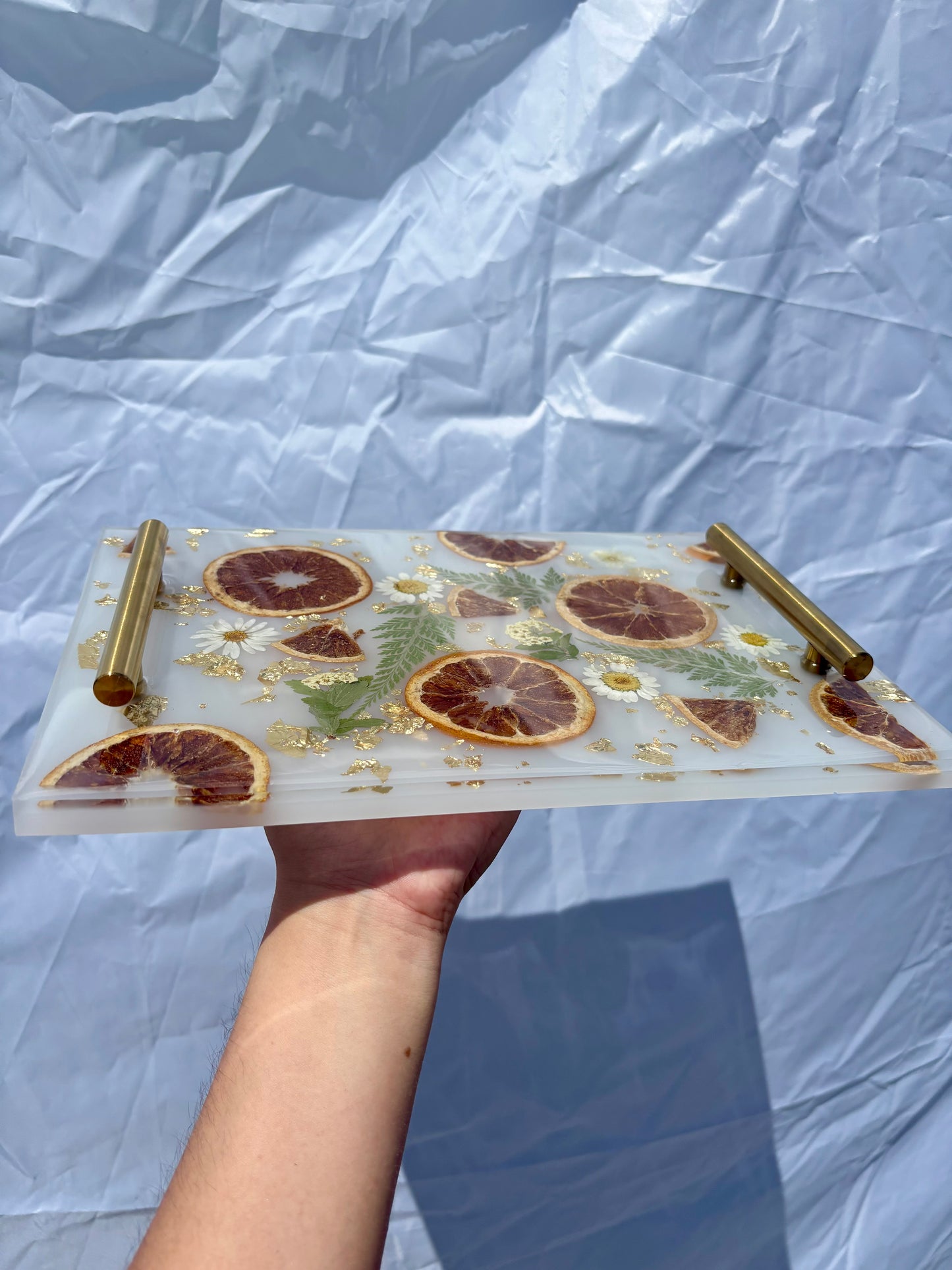 Orange citrus tray