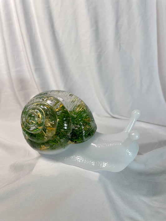 Figura de caracol Reserva