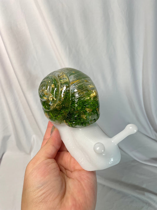 Figura de caracol Reserva