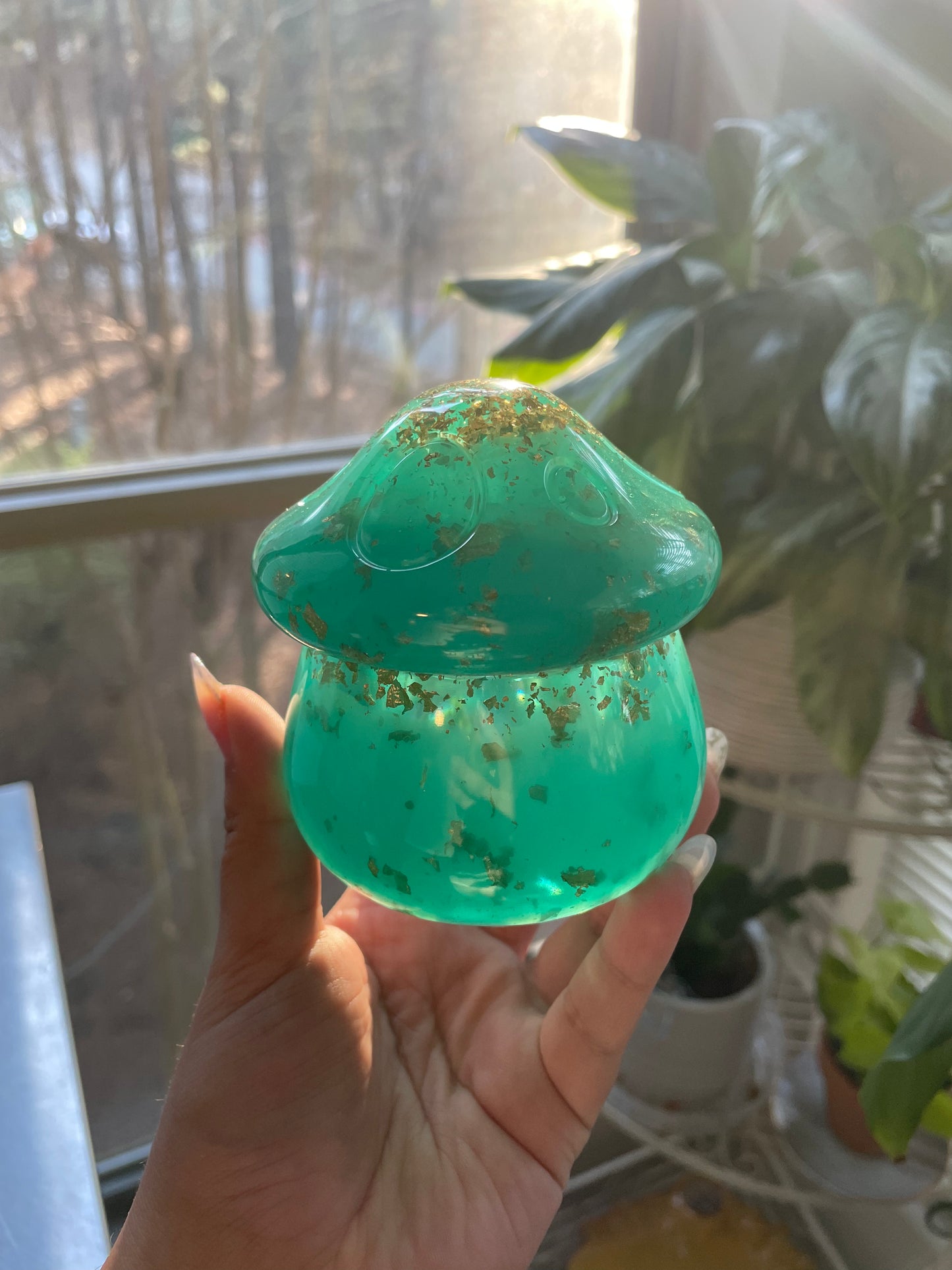 PRE-ORDER custom mushroom box