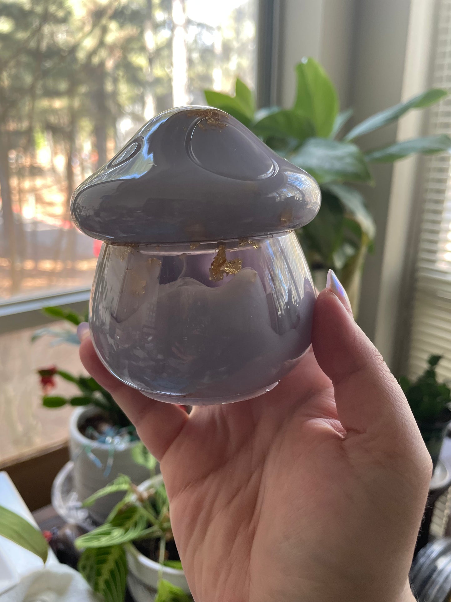 PRE-ORDER custom mushroom box