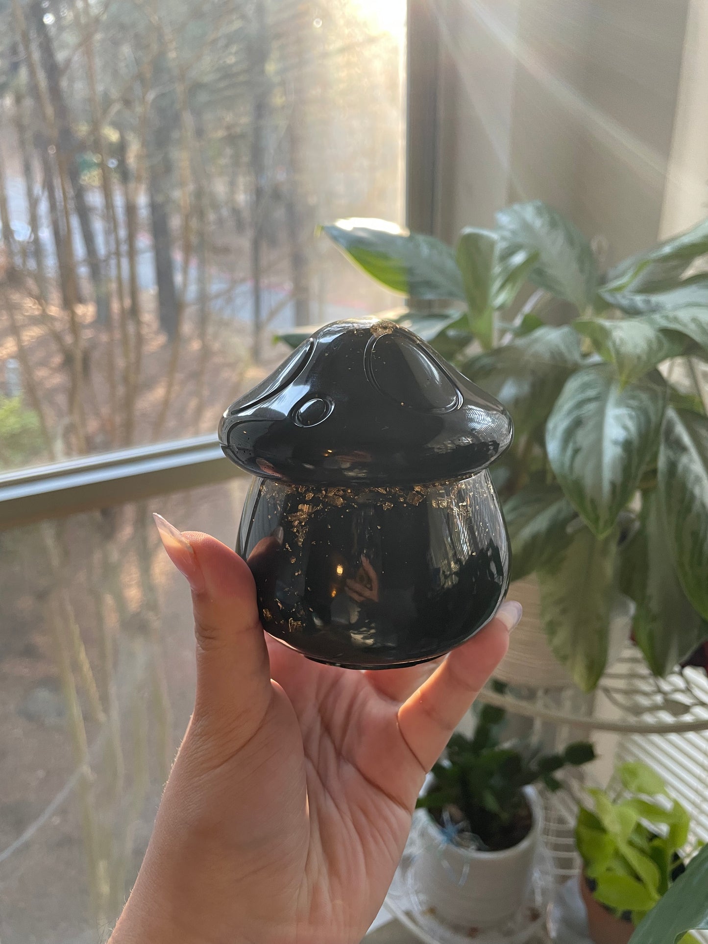 PRE-ORDER custom mushroom box