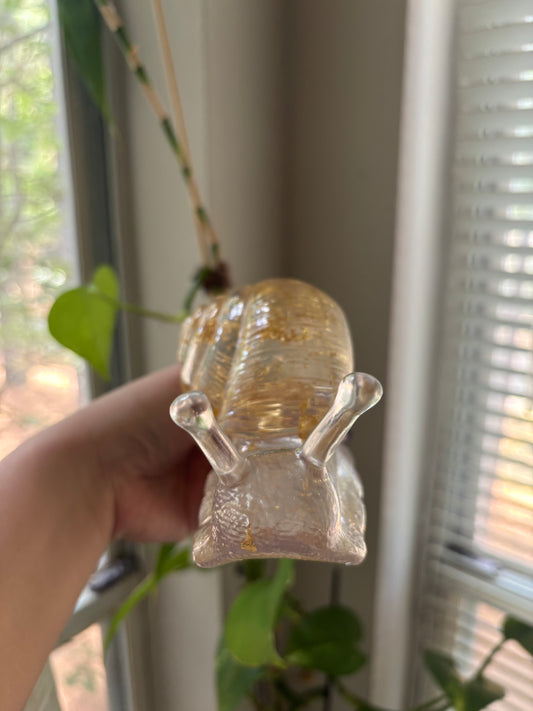 Gold flake snail friend!