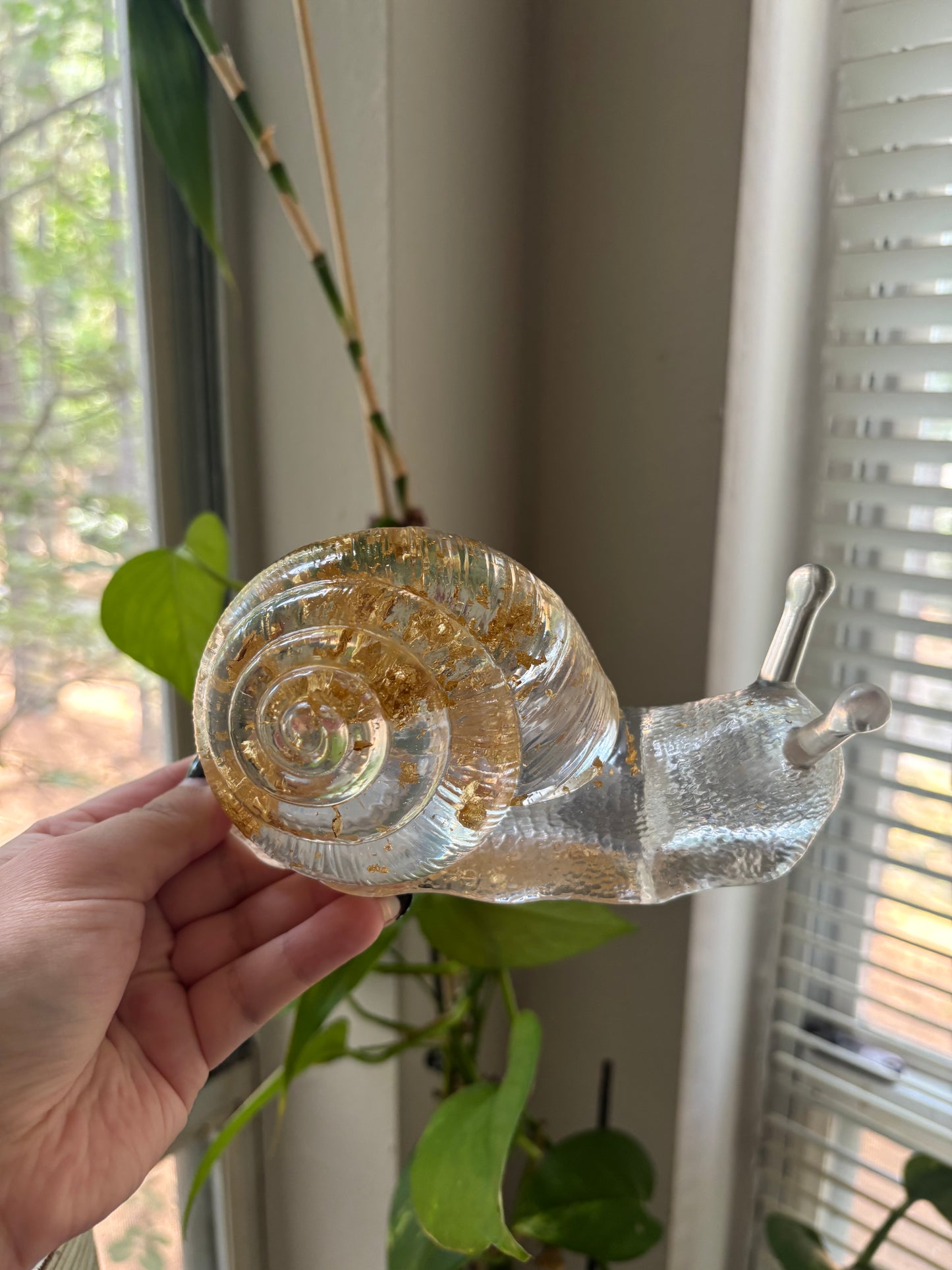 Gold flake snail friend!