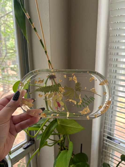 plant tray